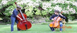 تفاوت ویولن سل و کنترباس