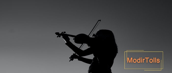 حقایق جالب درباره ویولن