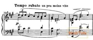 روباتو در موسیقی