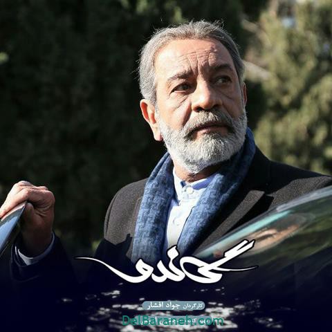 داریوش فرهنگ در سریال گاندو 