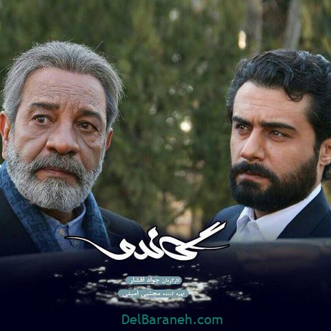 داریوش فرهنگ در سریال گاندو 