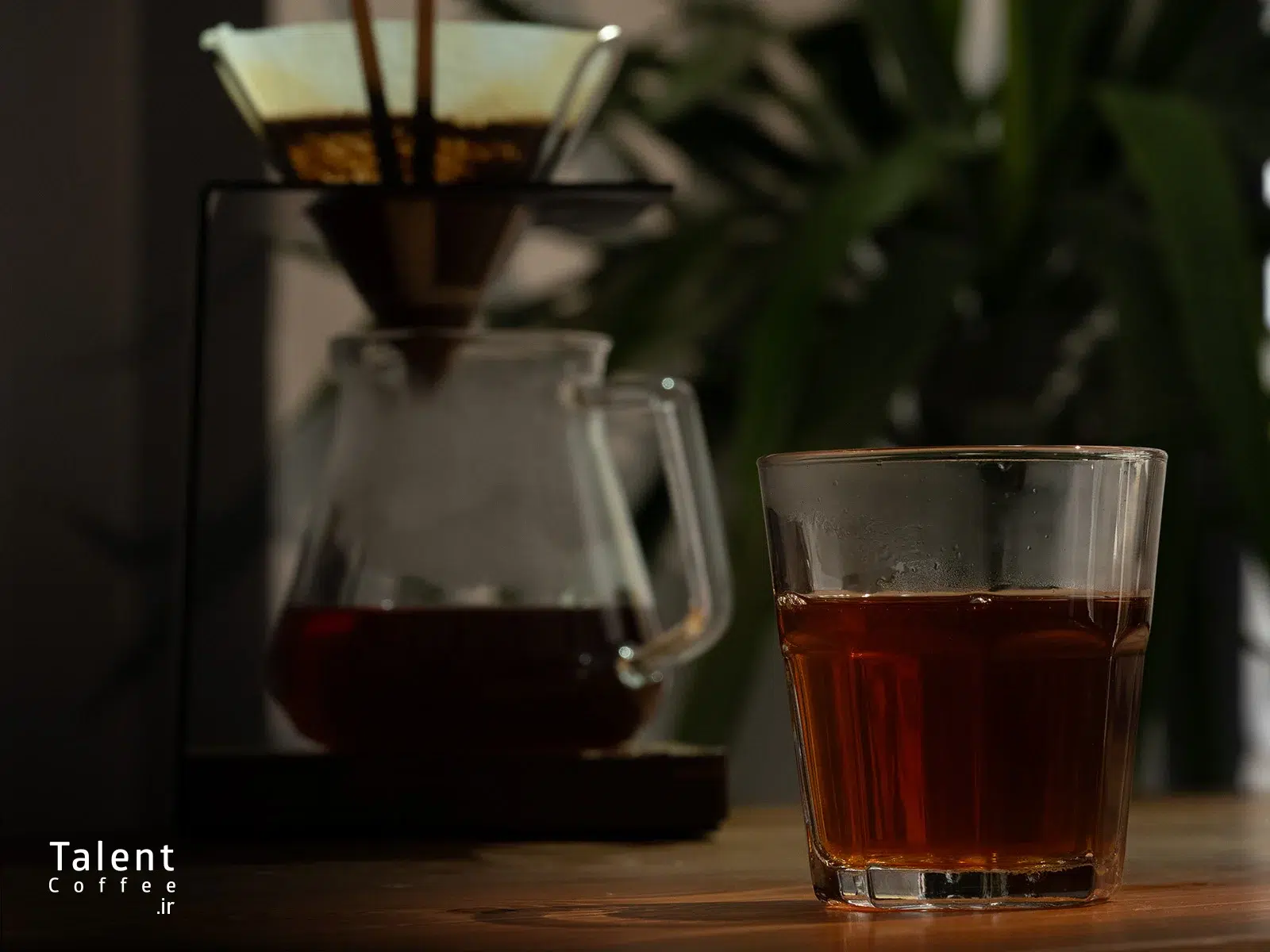 قهوه تخصصی بولیوی