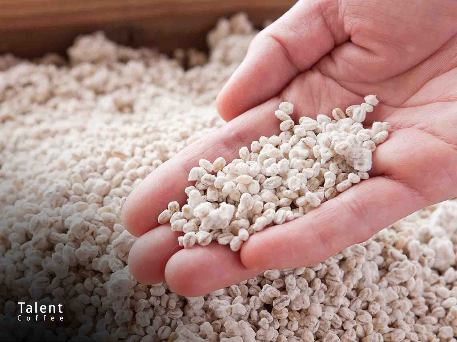 کپک آسپرژیلوس اوریزه