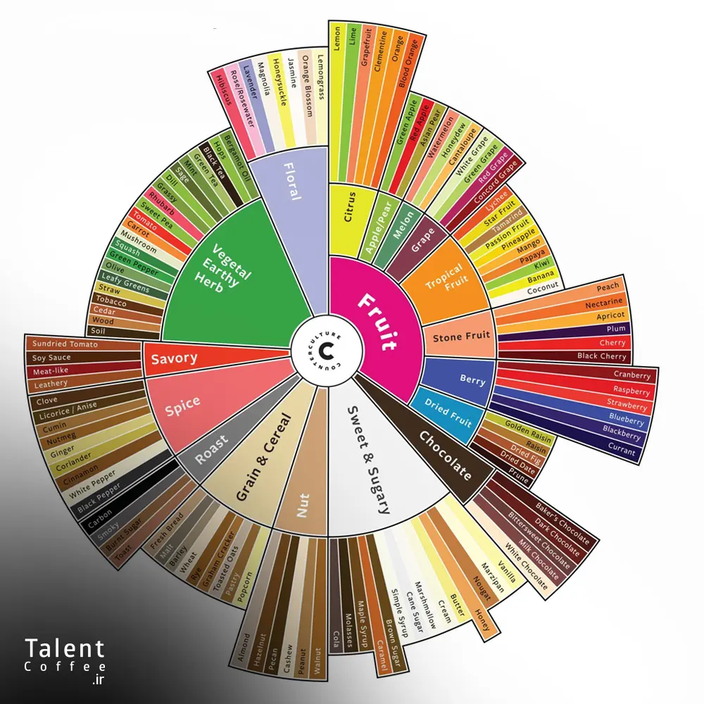 طعم یاد قهوه چیست و معرفی انواع طعم یادهای قهوه