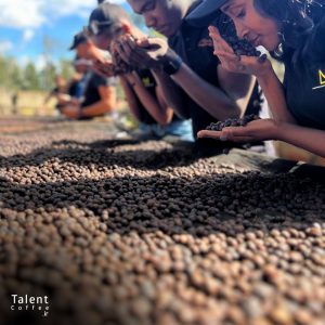 مسئلهٔ پایداری در زنجیرهٔ تأمین قهوه، اتفاقی ضروری در سال 2024