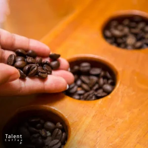 تفاوت قهوه کلمبیا با برزیل و اتیوپی