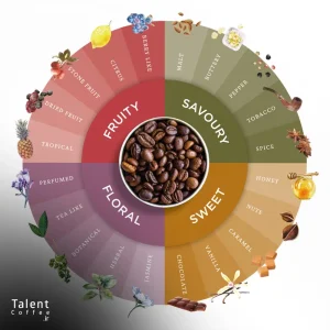 ]چرخه طعمی قهوه