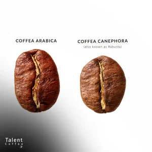 تفاوت قهوه عربیکا و ربوستا