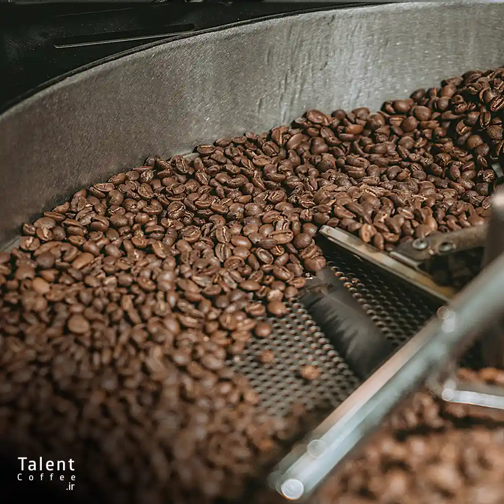 قهوه عربیکا چیست