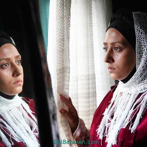 معنی وارش چیست؟