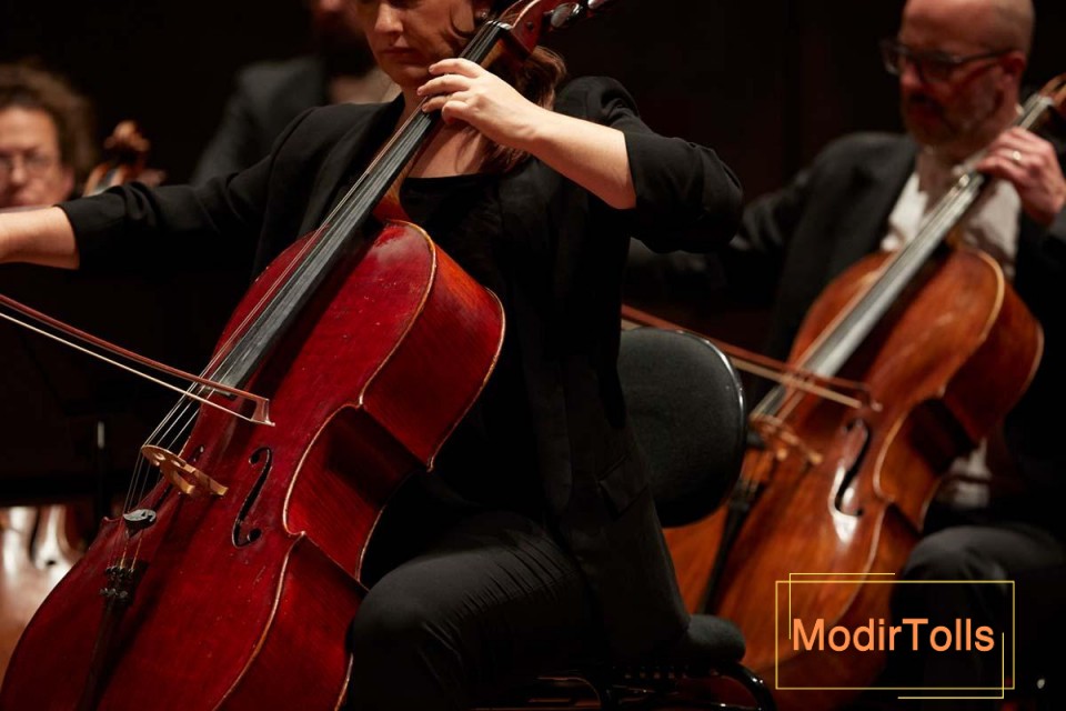 بهترین نوازندگان ویولن سل دنیا