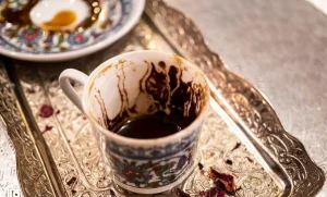 پلیکان در فال قهوه