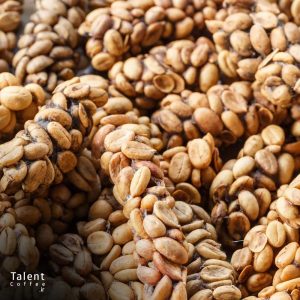 گران ترین قهوه دنیا (معرفی قهوه کوپی لوواک)