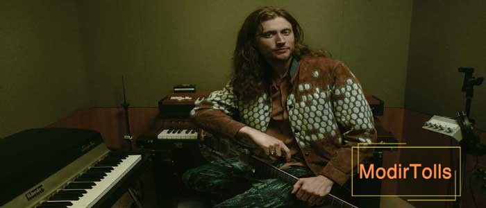 بیوگرافی لودویگ گورانسون