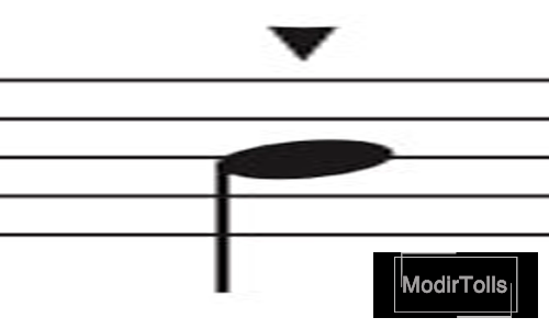 استکاتیسیمو