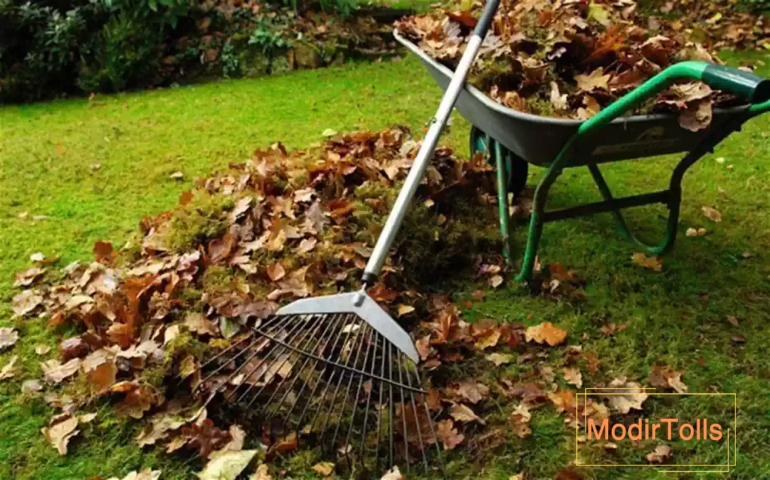 جاروی باغبانی یا شن کش؛ 