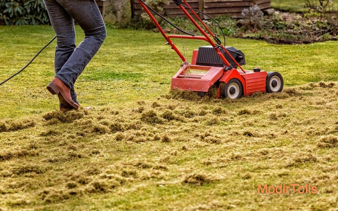 دستگاه چمن زن