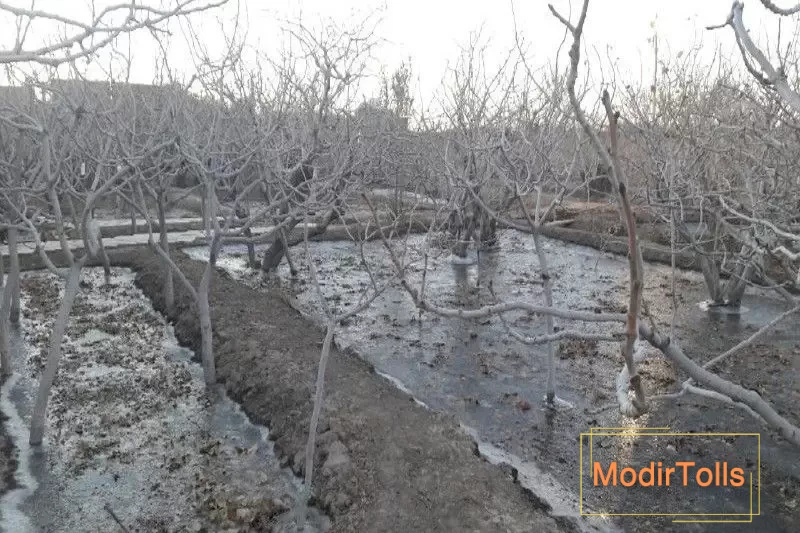 یخ آب زمستانی