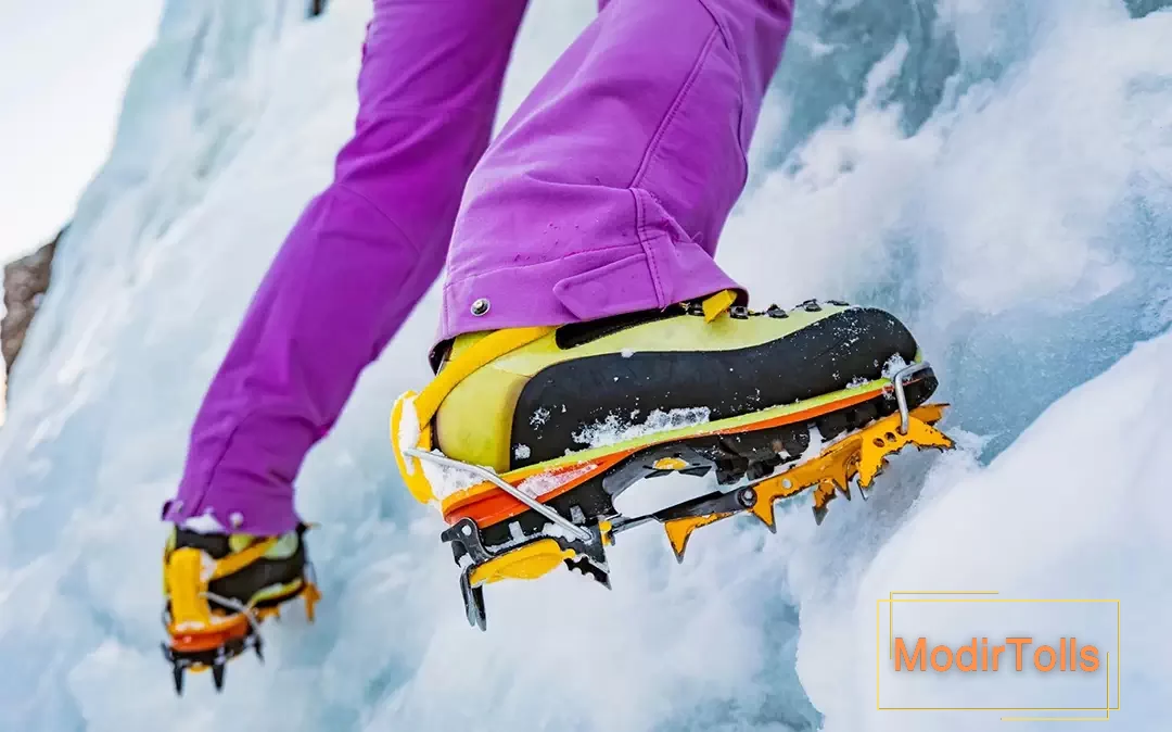 کفش کوهنوردی