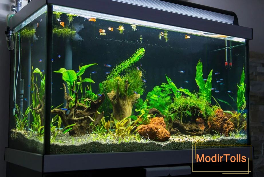 درست کردن آکواریوم در خانه