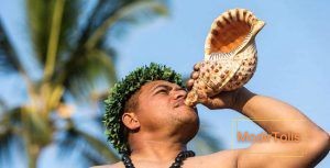 ساز عجیب حلزونی