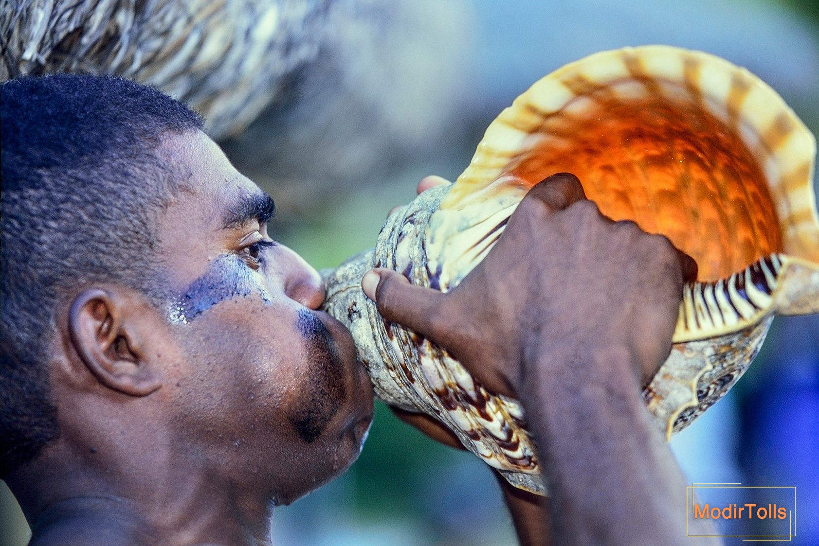 ساز عجیب حلزونی