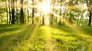 پیش بینی وضعیت آب و هوا تهران فردا جمعه ۱۴ آذر ۱۴۰۴ + هواشناسی تهران