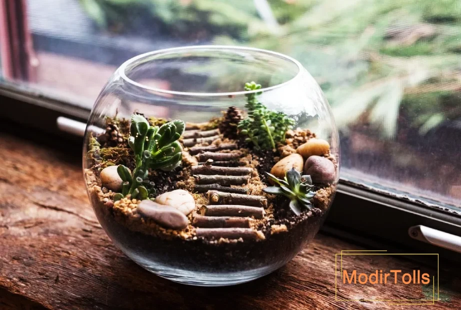 گلدان‌ تراریوم برای هدیه عید