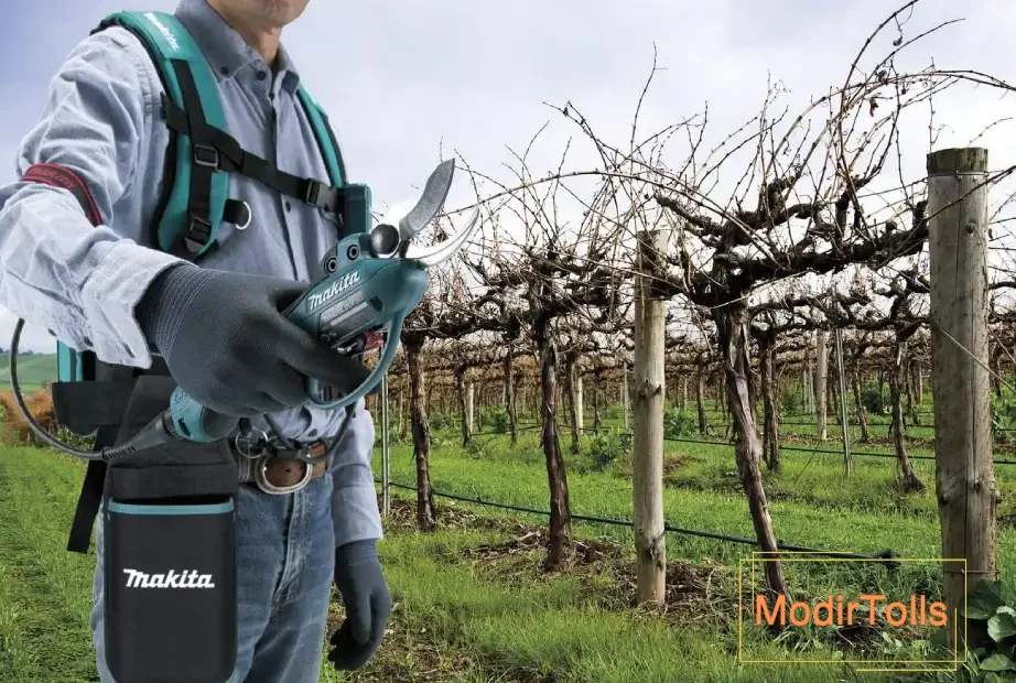 قیچی شارژی باغبانی ماکیتا