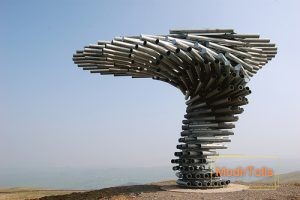 درخت آوازه خوان در انگلیس