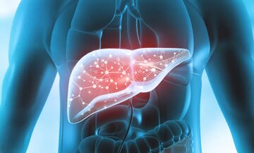 پاکسازی کبد با ۴ نوشیدنی صبحگاهی؛ صبح‌ها را با انرژی بیشتری شروع کنید / فواید نوشیدنی‌ها و اثرات آن‌ها بر سلامت کبد / نسخه طبیعی و آسان برای همه