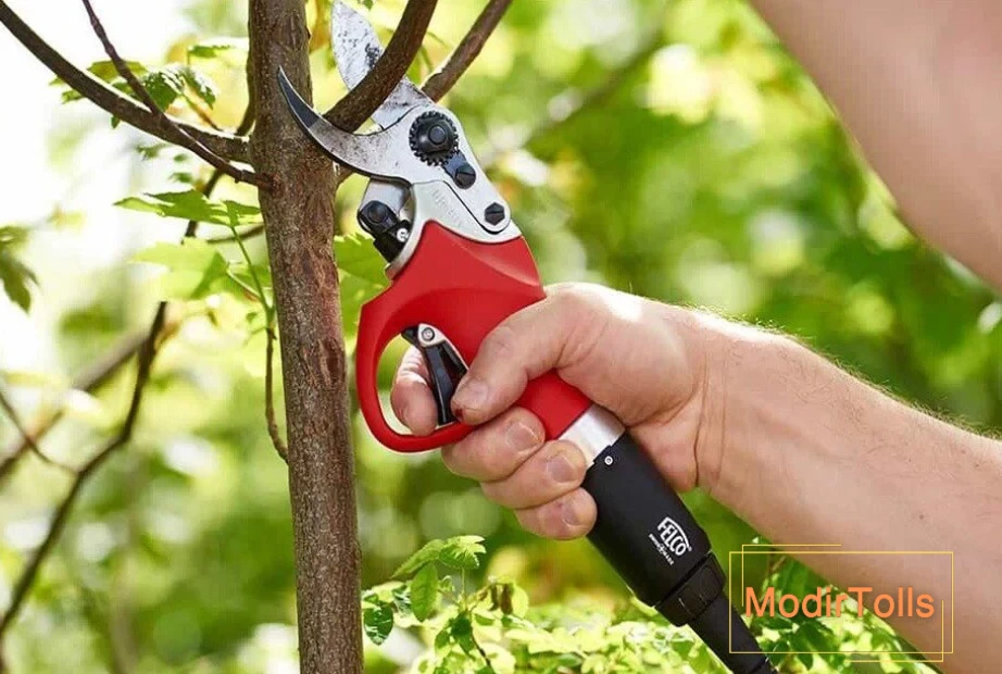 قیچی شارژی باغبانی فلکو