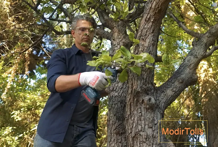 قیچی شارژی باغبانی رونیکس