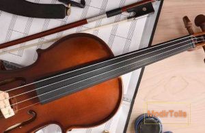 چرا کلاس سلفژ برای یادگیری ویولن ضروری است؟