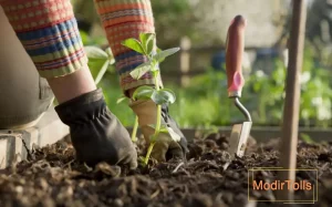 بهترین بیل و بیلچه باغبانی و کارکردهای آن