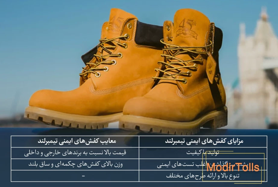 کفش ایمنی تیمبرلند