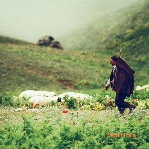 آواز یا آهنگ دشتی چیست؟