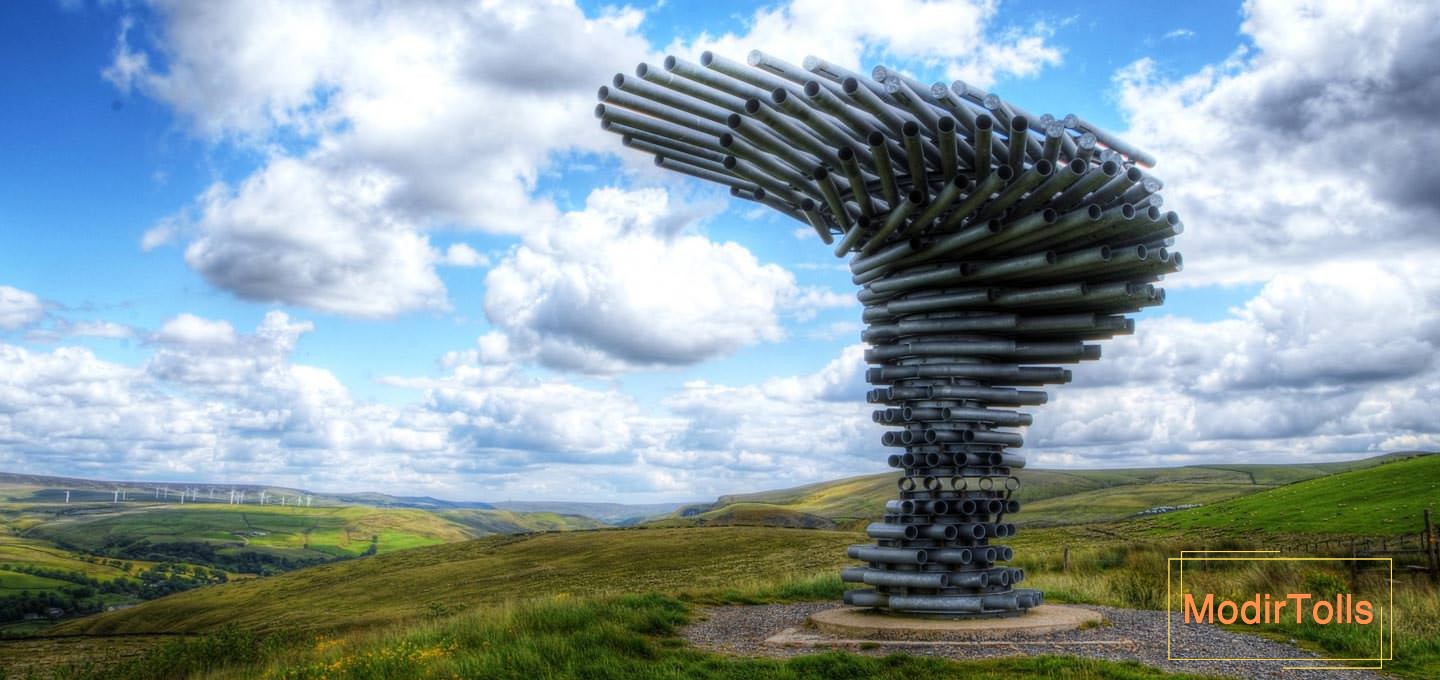 درخت آوازه خوان در انگلیس