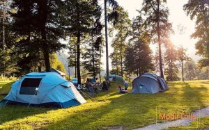 آنچه در کمپینگ و سفر نیاز دارید!