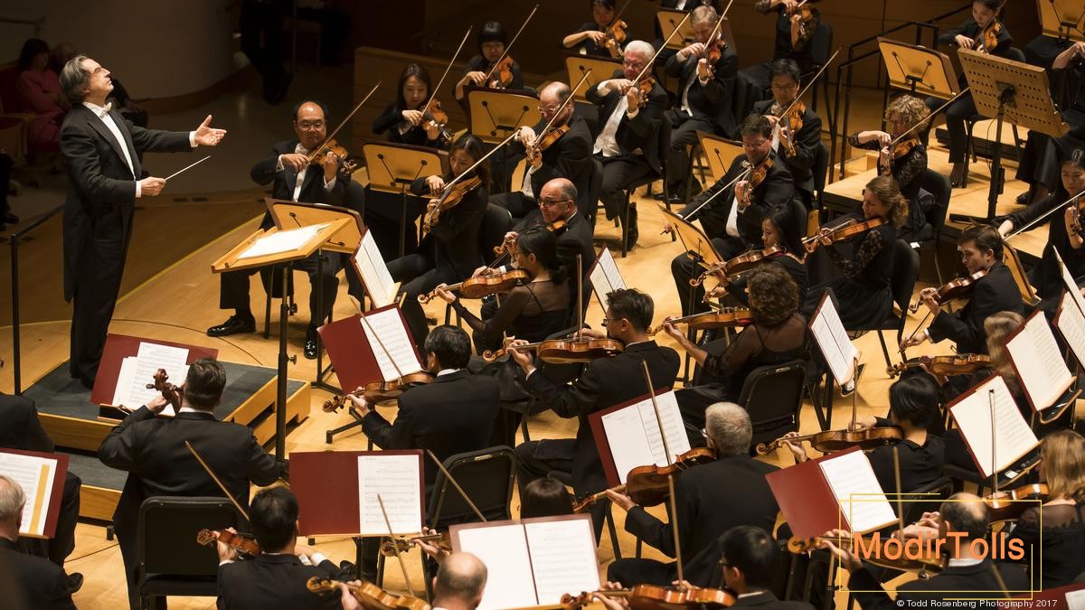 موومان به چه معناست؟