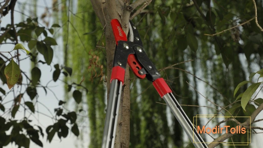 بهترین برند شاخه‌ زن: معرفی پرفروش‌ترین و باکیفیت‌ترین برند شاخه‌زن