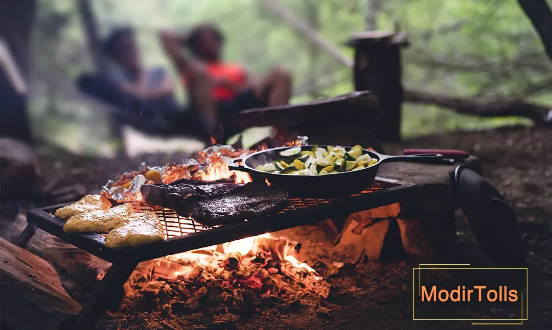 آشپزی در طبیعت