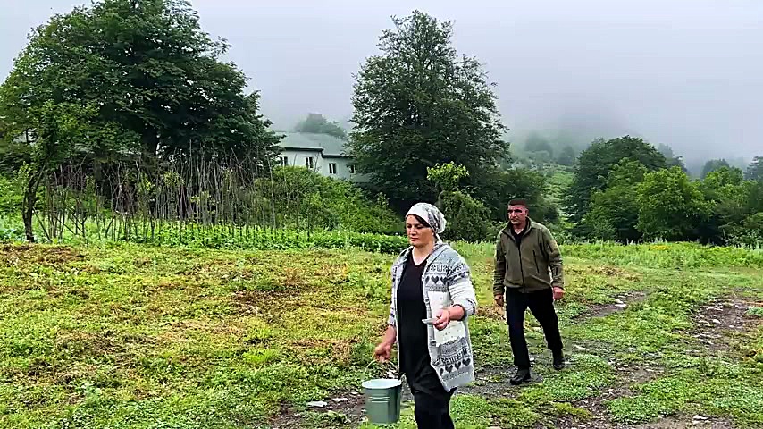 تهیه پنیر و خاچاپوری آذربایجانی با شیر تازه گاو