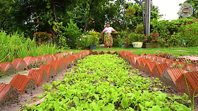 روش سنتی پخت بره در سنگاپور با تنور زیرزمینی