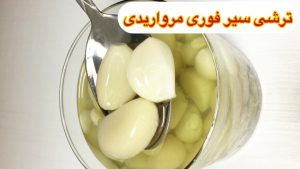 طرز تهیه ترشی سیر مرواریدی بازاری/ترشی سیر سفید صدفی فوری/سیرترشی