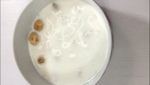 طرز تهیه دسر شیر انجیر سنتی ساده خوشمزه و مقوی / آشپزی غذای ایرانی با هلن