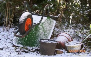 اصولی‌ترین روش باغداری در زمستان