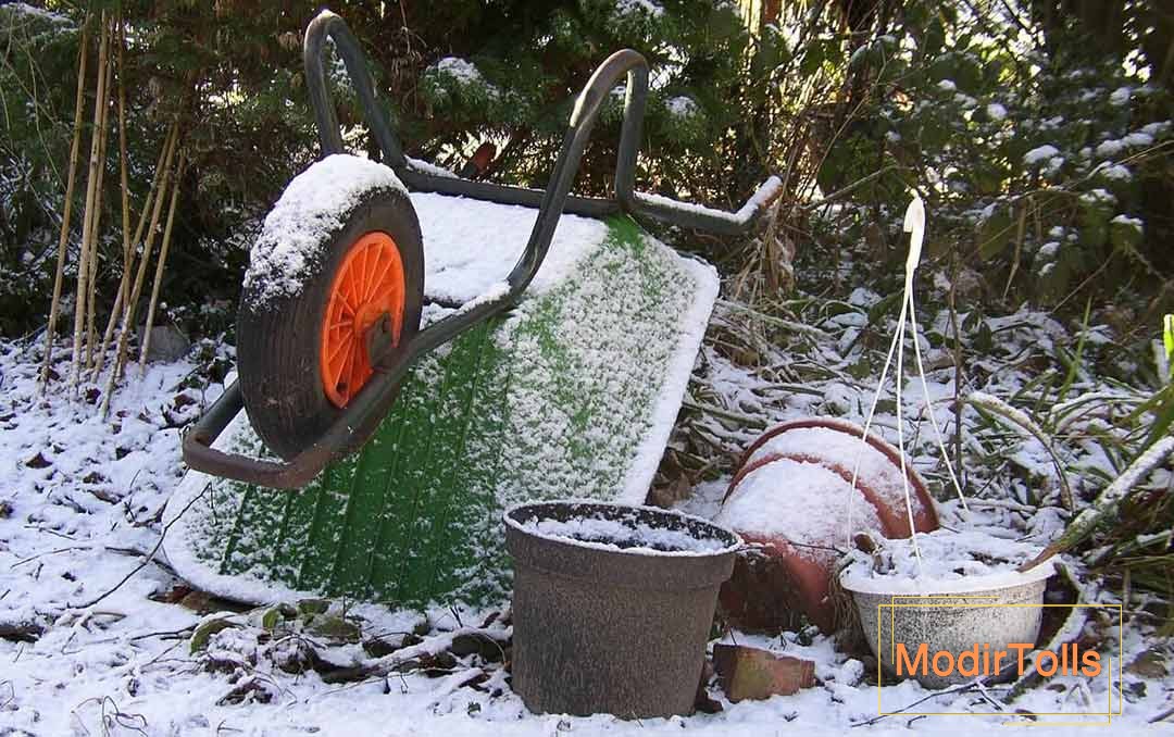 اصولی‌ترین روش باغداری در زمستان