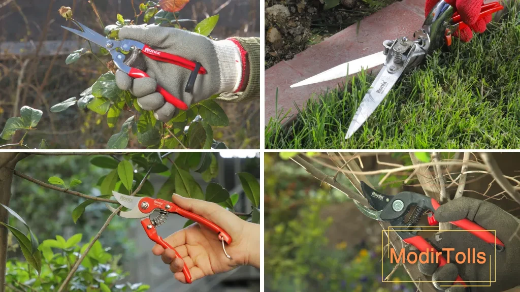 راهنمای خرید قیچی باغبانی بر اساس نوع گیاه و کاربرد