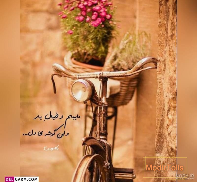 آلبوم شیک ترین عکس پروفایل های لاکچری 2019 جدید - تــــــــوپ تـــــــــاپ